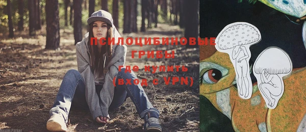 дурь Абаза