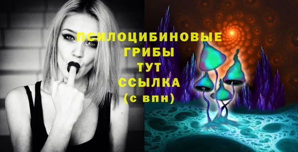 сатива Михайловск