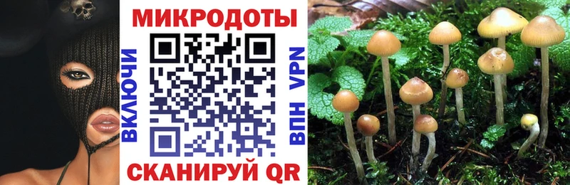 Галлюциногенные грибы Magic Shrooms  магазин    мега ONION  Щучье 